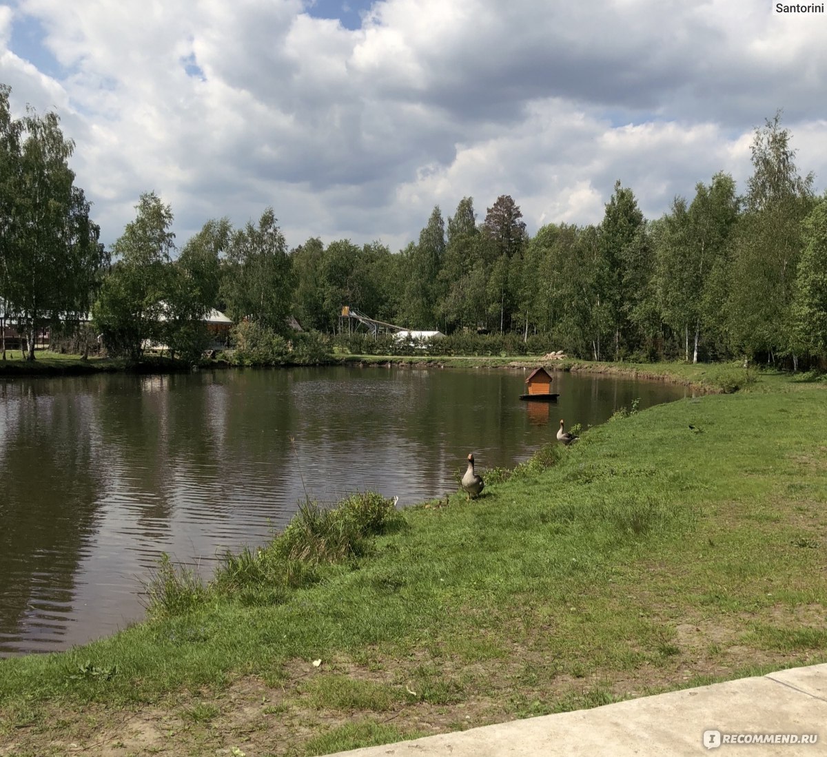 фото Зообаза мечта Где в Москве ru